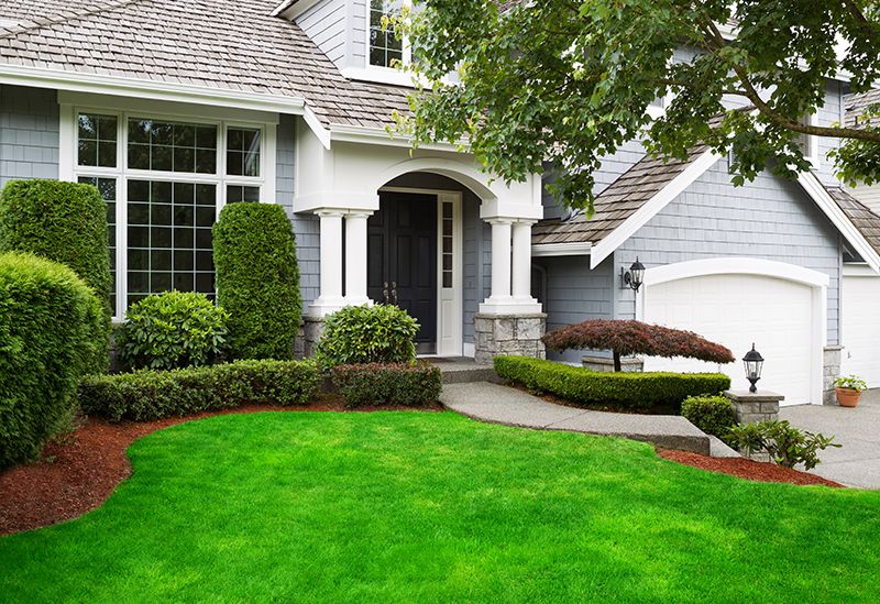 beautiful front yard lawn